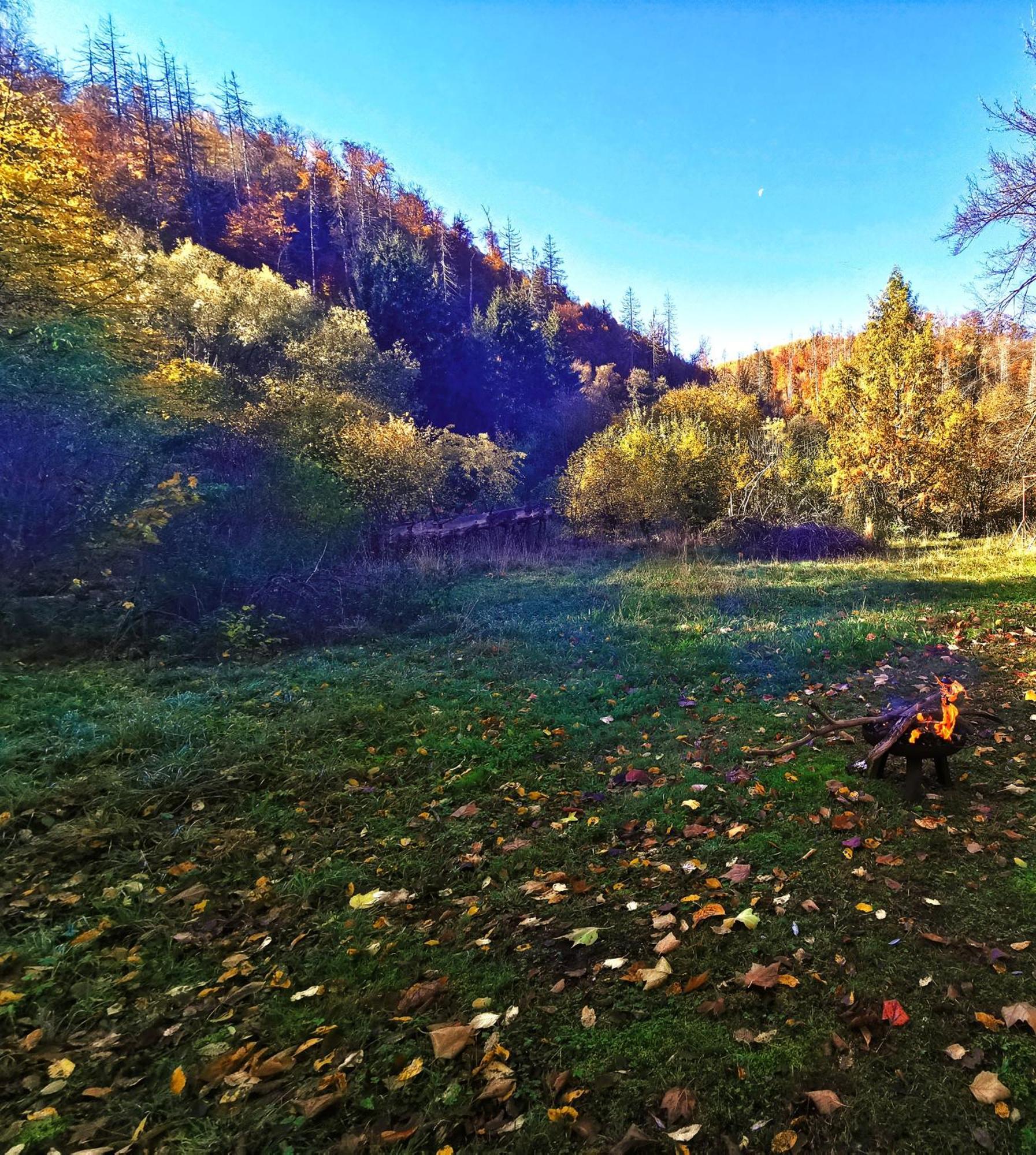 Pension Im Tal Der Stille Treseburg Exteriör bild