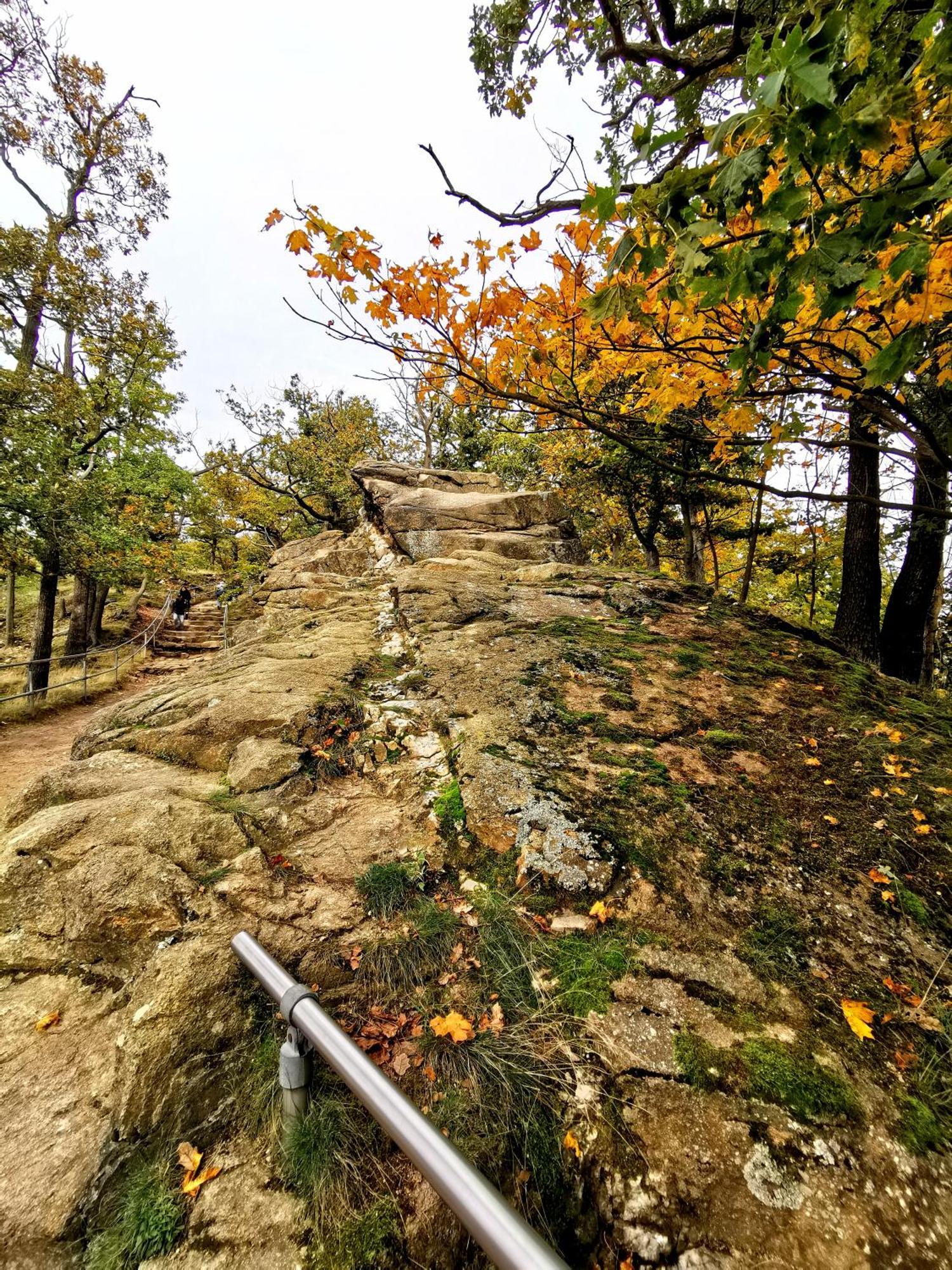 Pension Im Tal Der Stille Treseburg Exteriör bild